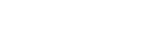 A Thousand and One Journeys: The Arab Americans